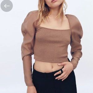 Zara Cropped Statement Sleeves Ribbed Top
